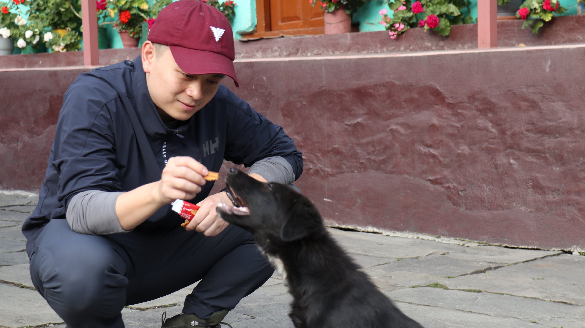 A man in a burgundy cap and gray and navy outdoor jacket is squatting and giving a treat to a black dog on a leash, with a brick wall and flower pots in the background.