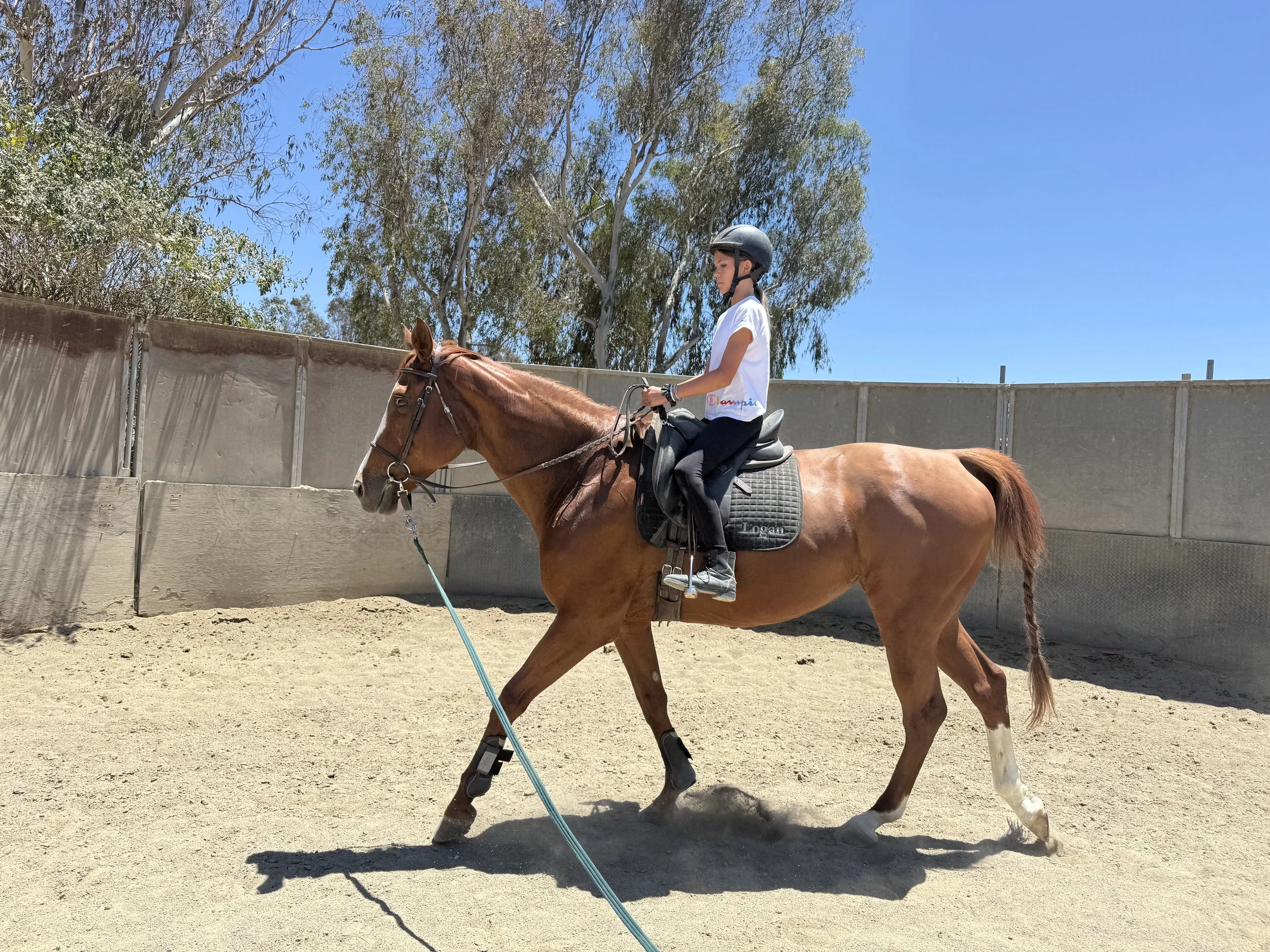 Rider working with a rehabilitated horse at Rising Phoenix Thoroughbred Rescue in Southern California