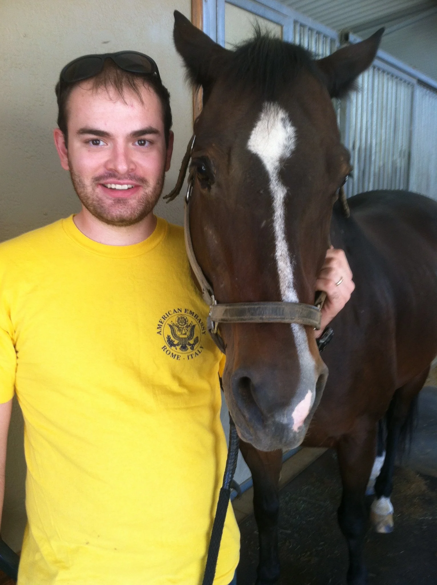 Rescued Thoroughbred sharing a quiet moment of connection at Rising Phoenix Thoroughbred Rescue