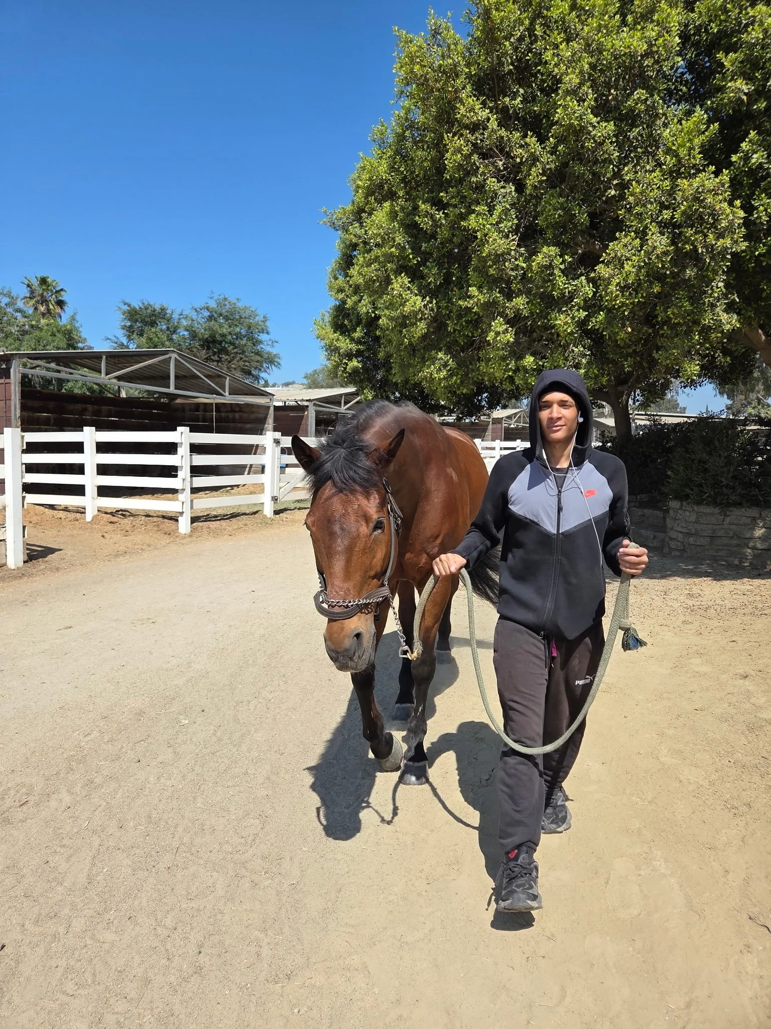 Recovery program participant walking with a rescued horse at Rising Phoenix Thoroughbred Rescue