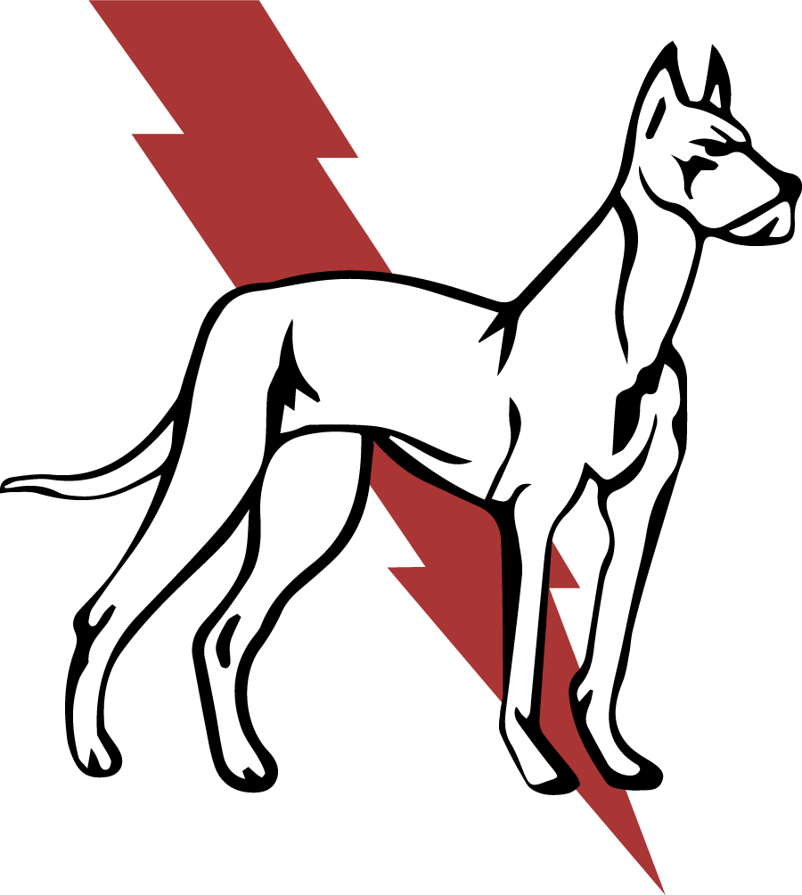 A stylized illustration of a white dog with a red lightning bolt behind it.