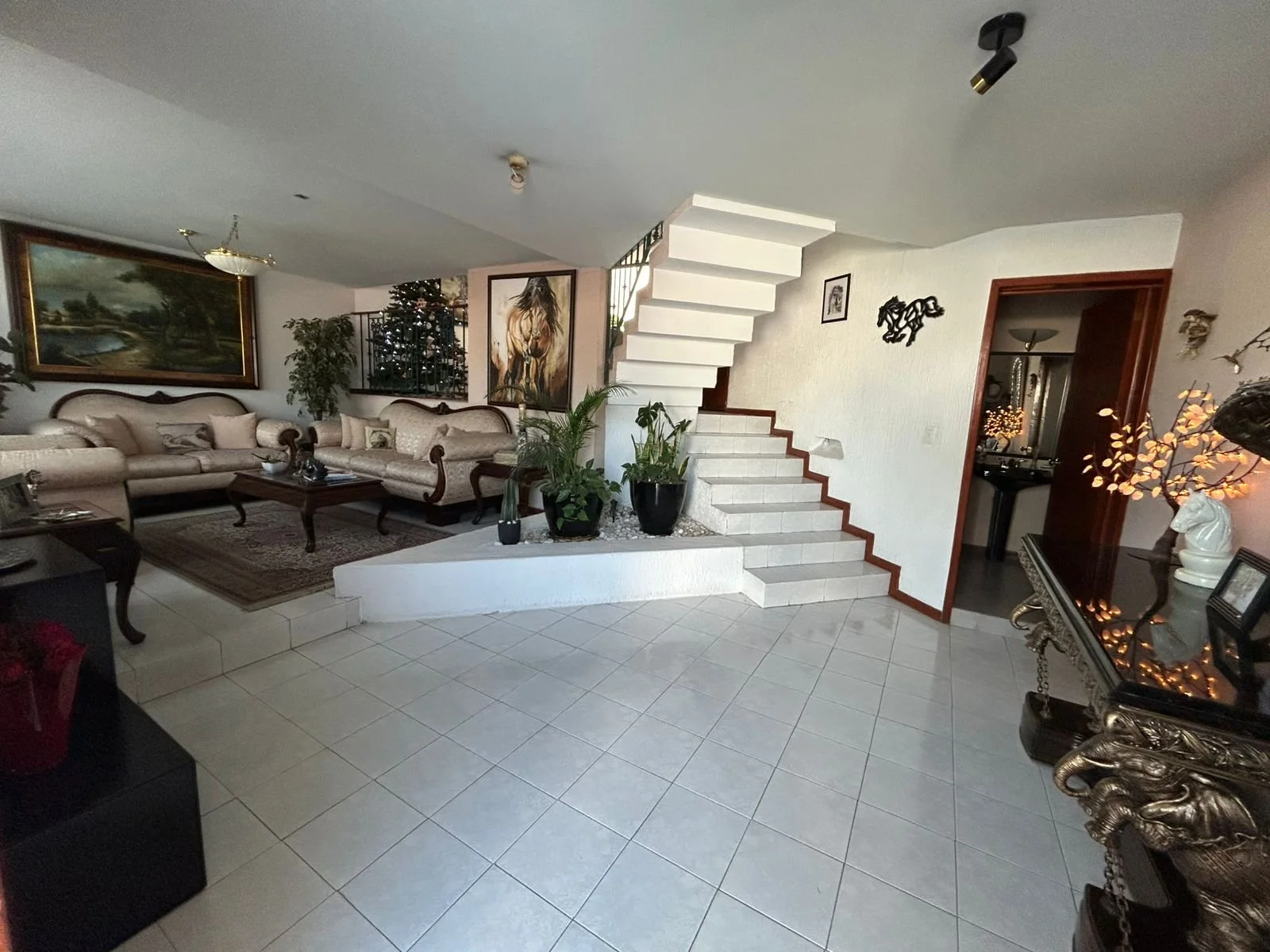 WhatsApp Image 2026-01-05 at 2.01.38 PM.jpeg