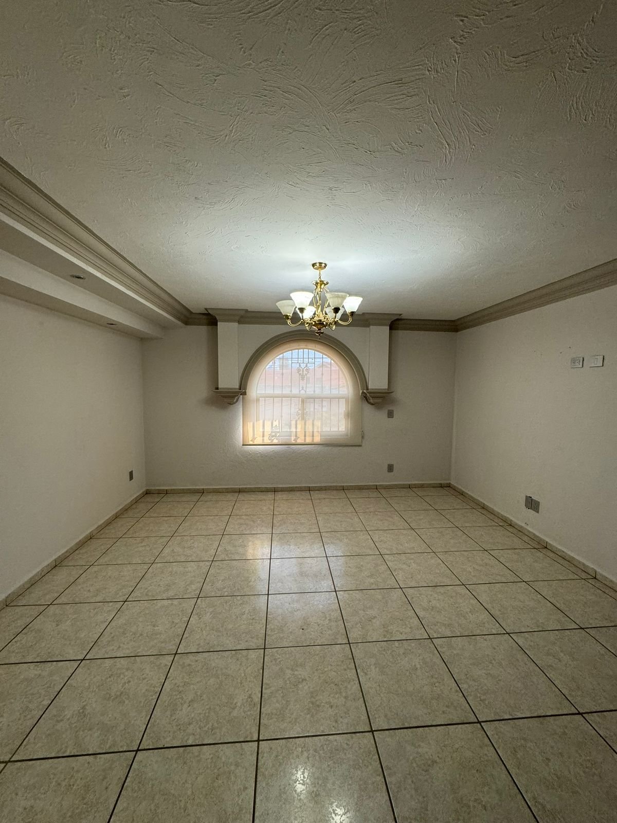 WhatsApp Image 2026-01-15 at 1.22.48 PM (1).jpeg