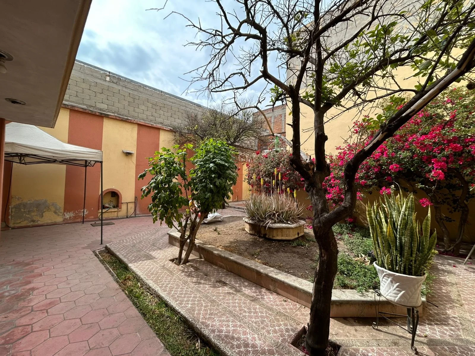 WhatsApp Image 2026-01-14 at 1.47.19 PM (2).jpeg