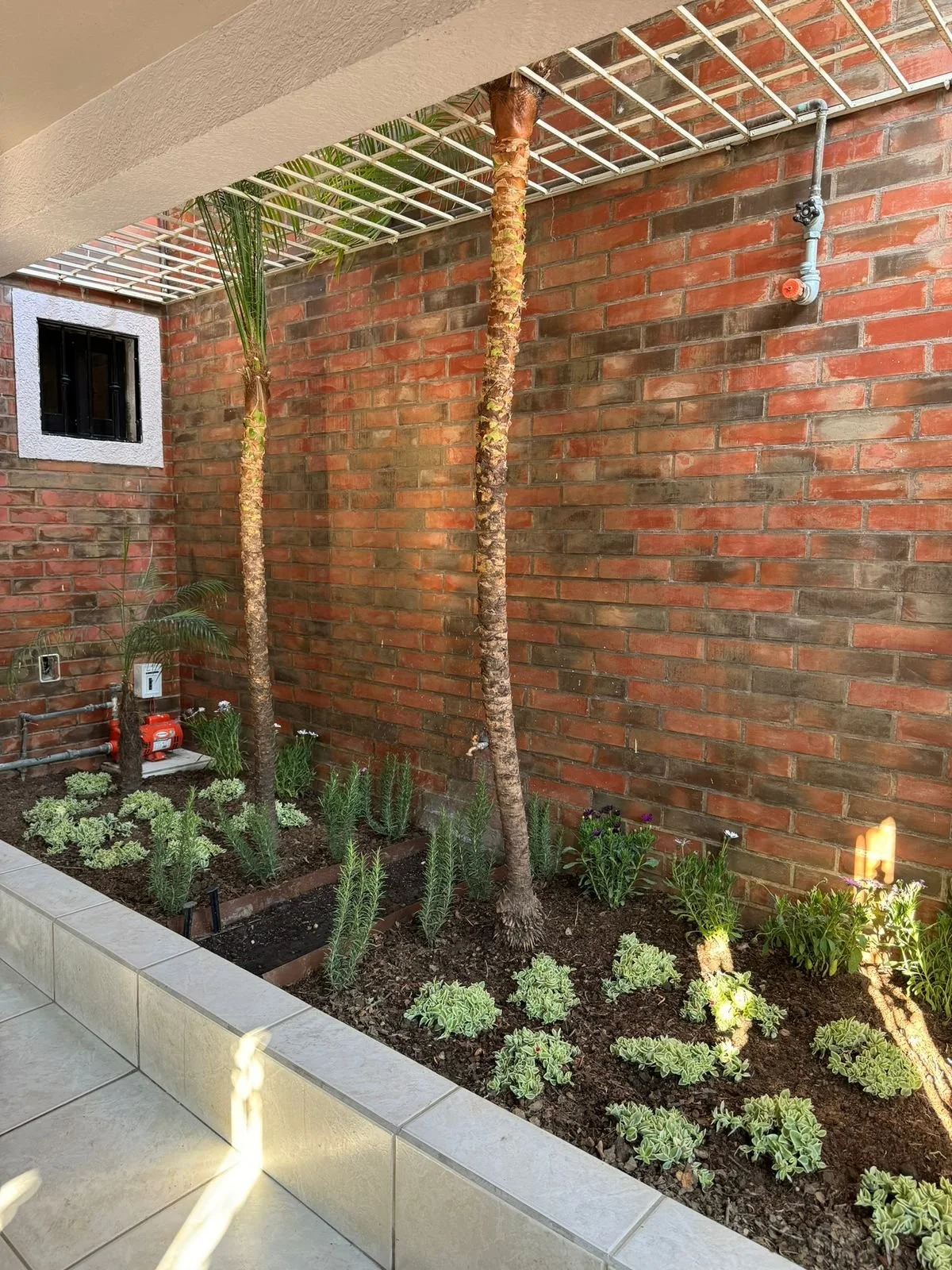 WhatsApp Image 2026-01-15 at 1.22.47 PM (3).jpeg