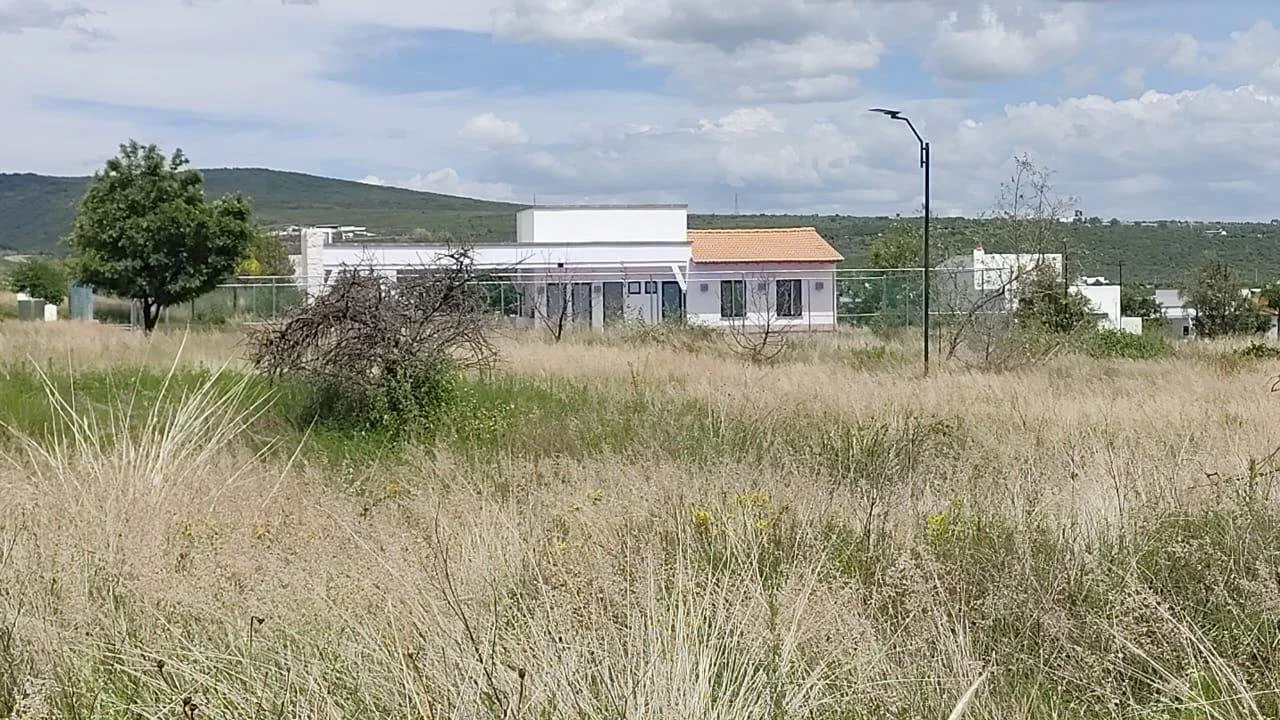 WhatsApp Image 2026-01-05 at 2.11.07 PM.jpeg