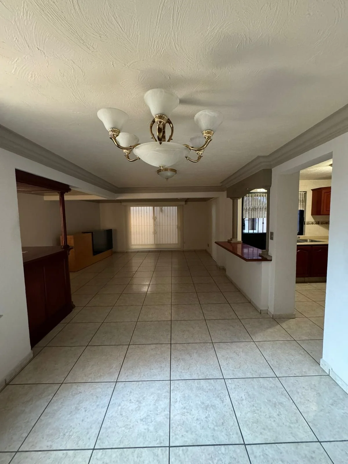 WhatsApp Image 2026-01-15 at 1.22.47 PM (2).jpeg