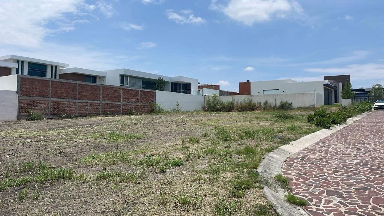 WhatsApp Image 2026-01-14 at 7.54.37 PM (2).jpeg