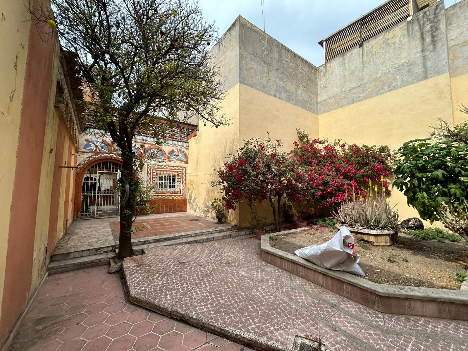 WhatsApp Image 2026-01-14 at 1.47.19 PM.jpeg