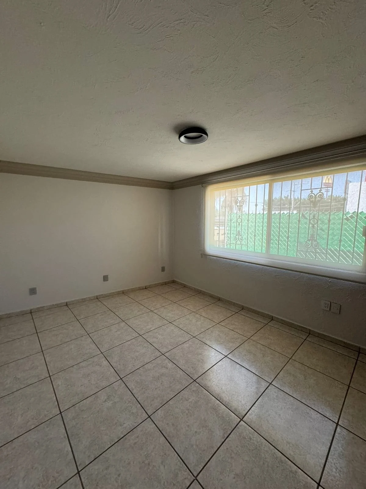 WhatsApp Image 2026-01-15 at 1.22.49 PM (2).jpeg