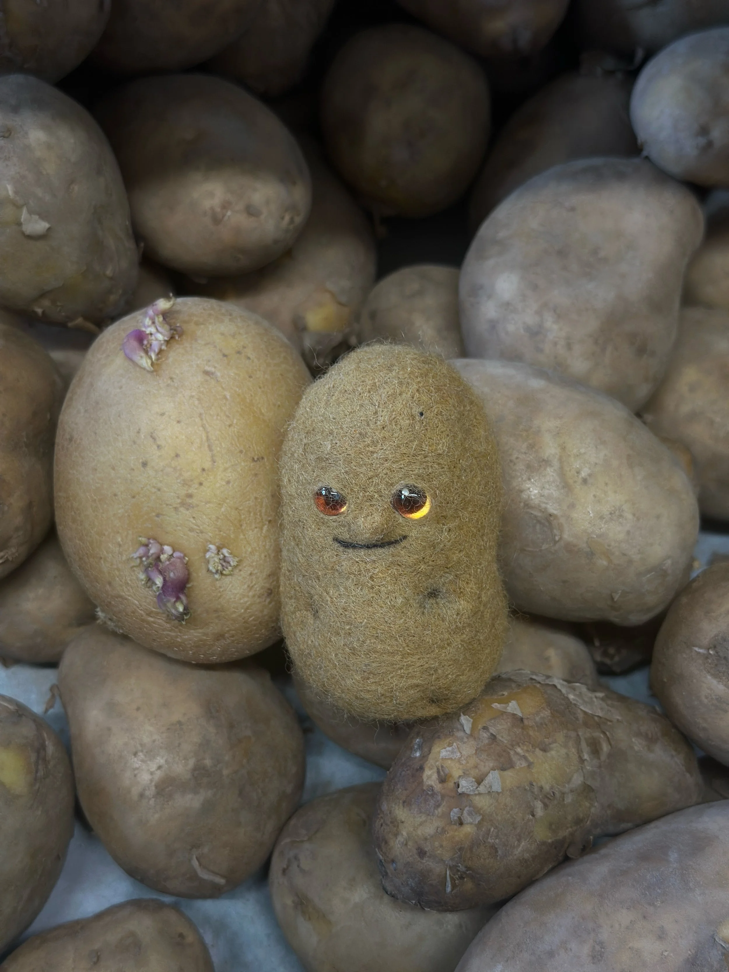 A small felted creature with glowing eyes and a smiling mouth, surrounded by potatoes.