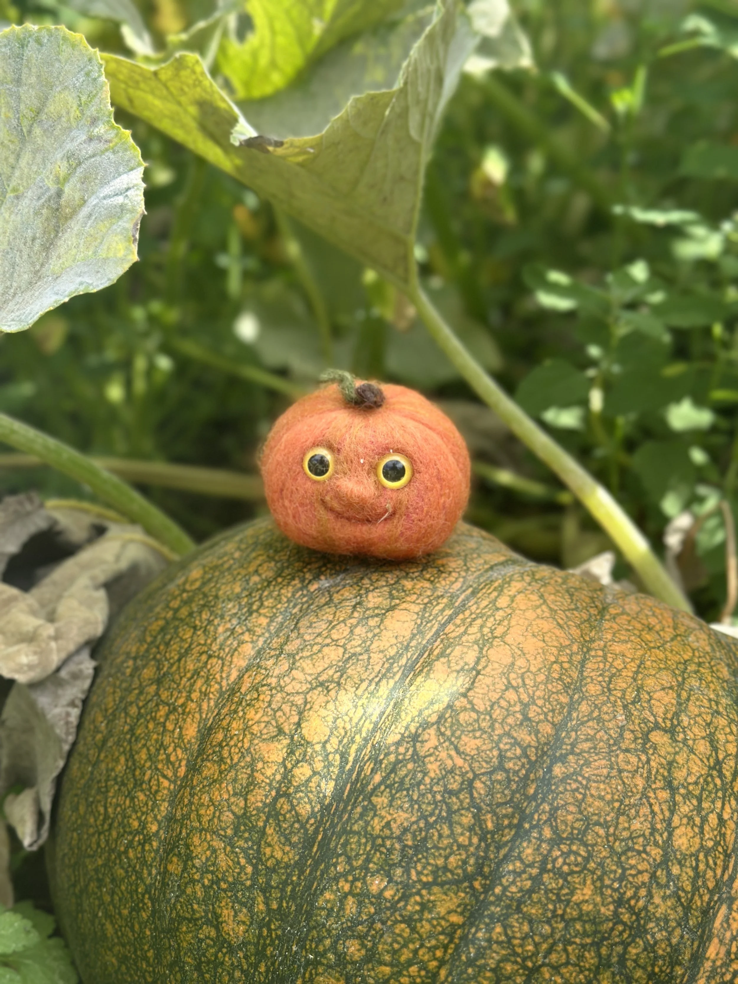 A felted pumpkin with a smiling face and googly eyes sitting on top of a large pumpkin in a garden.