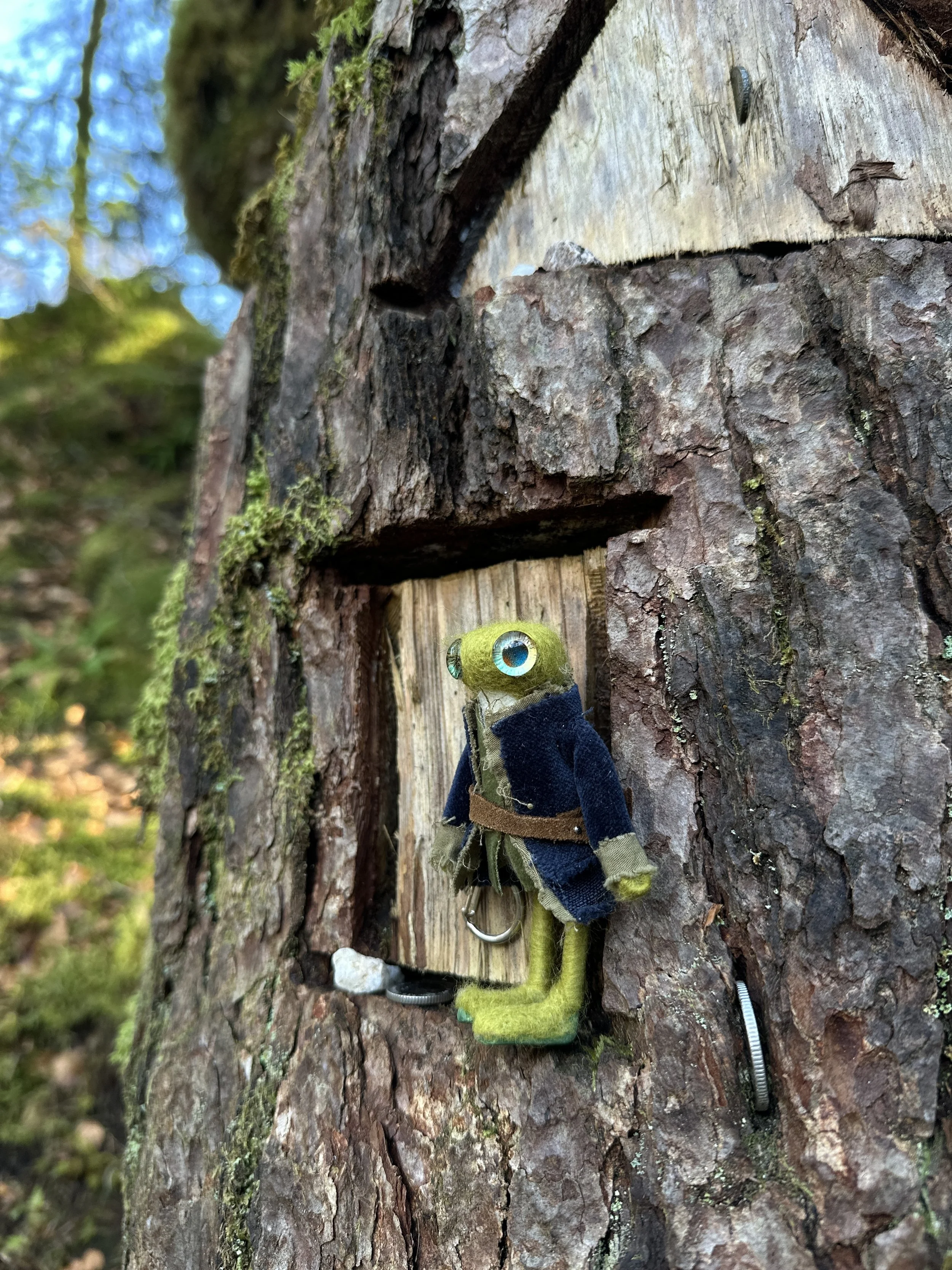 A small, hobbit like creature dressed in a tiny jacket is attached to the trunk of a tree, with a small wooden door and a metal ring around its neck. It appears to be part of a whimsical outdoor display or art installation.