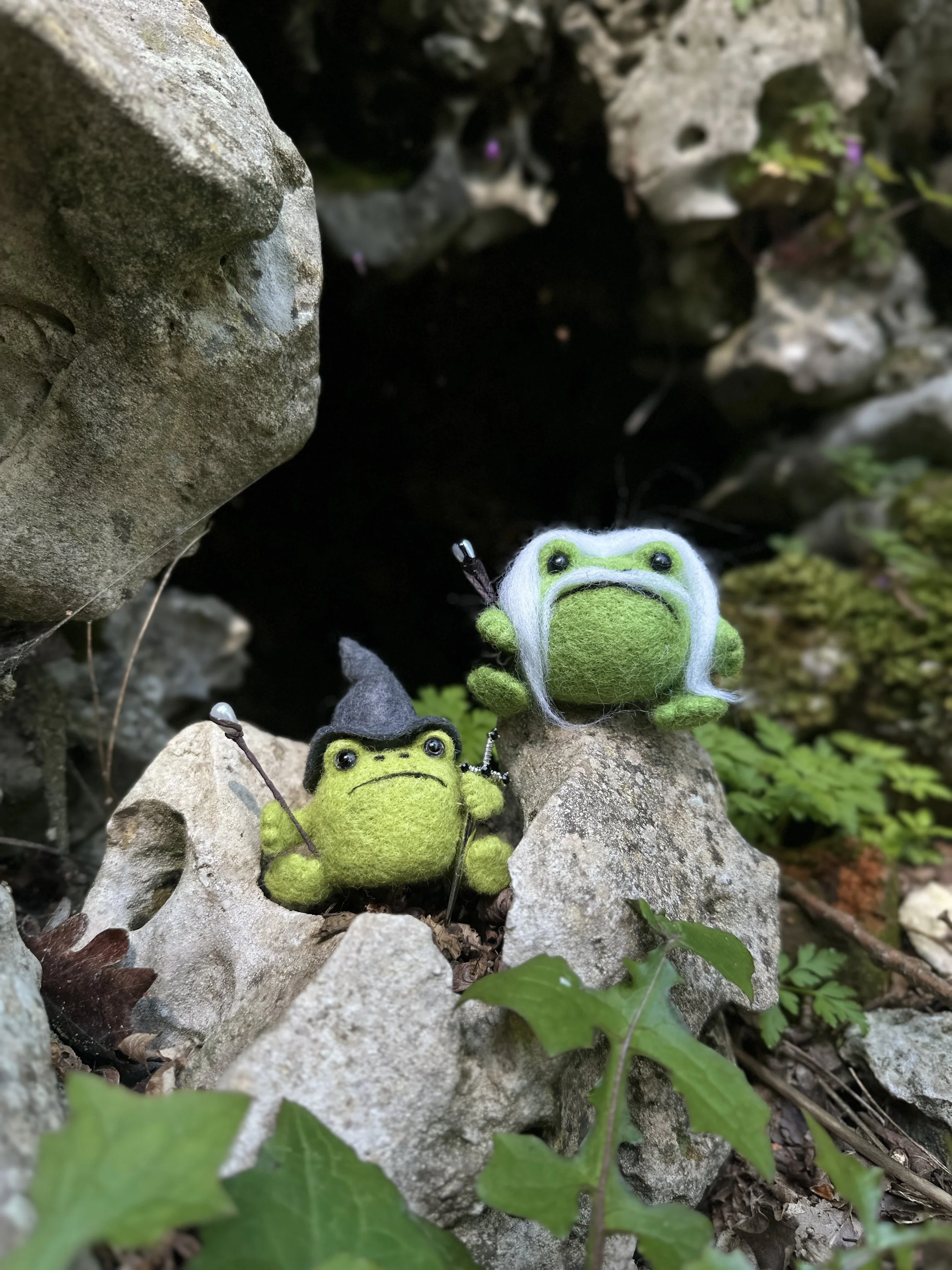 Felted wool figures of frogs, one dressed as a wizard and the other as a princess, among rocks and greenery.