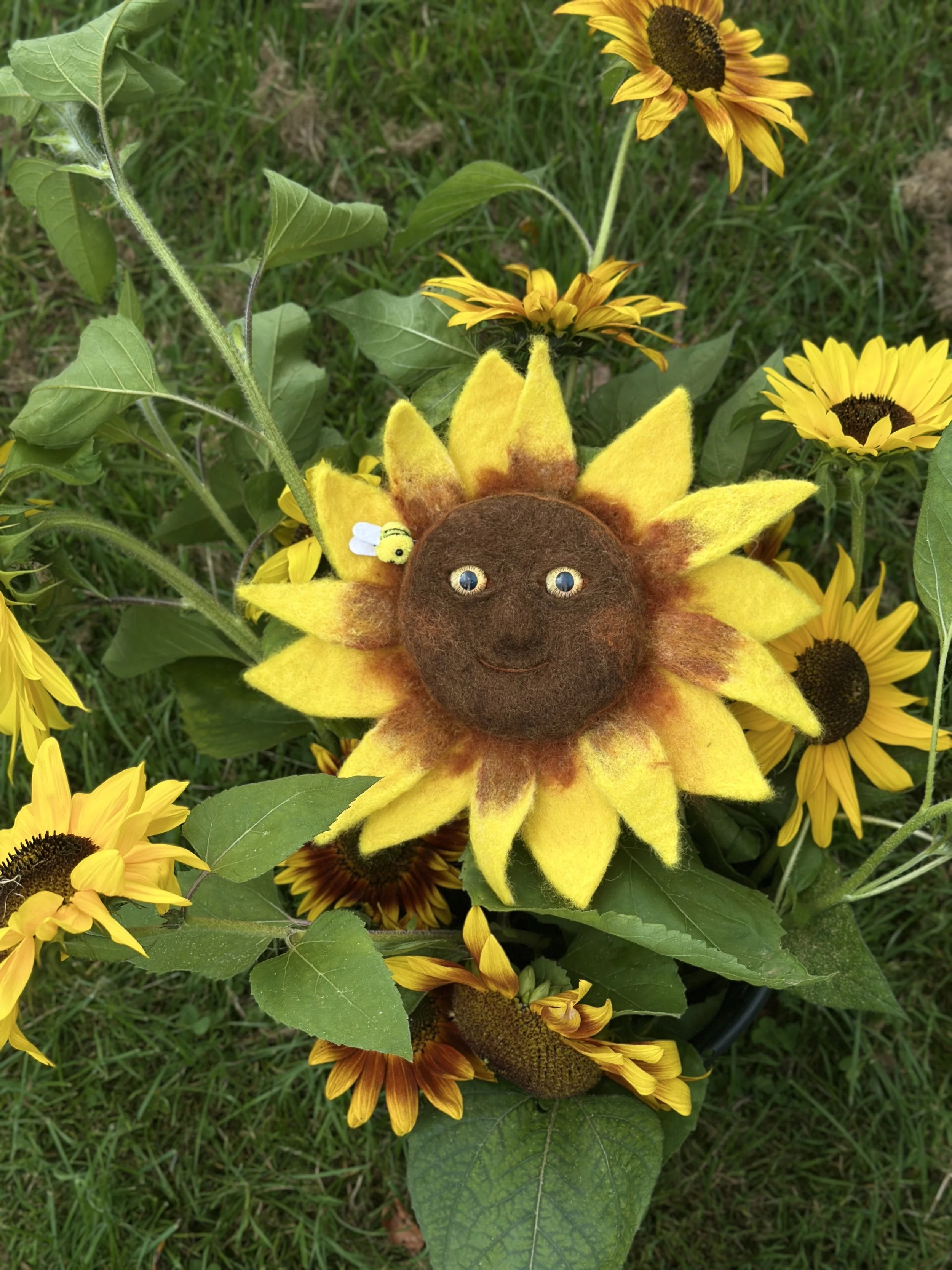 A felt sunflower with a smiling face surrounded by real yellow sunflowers and green leaves in a garden.