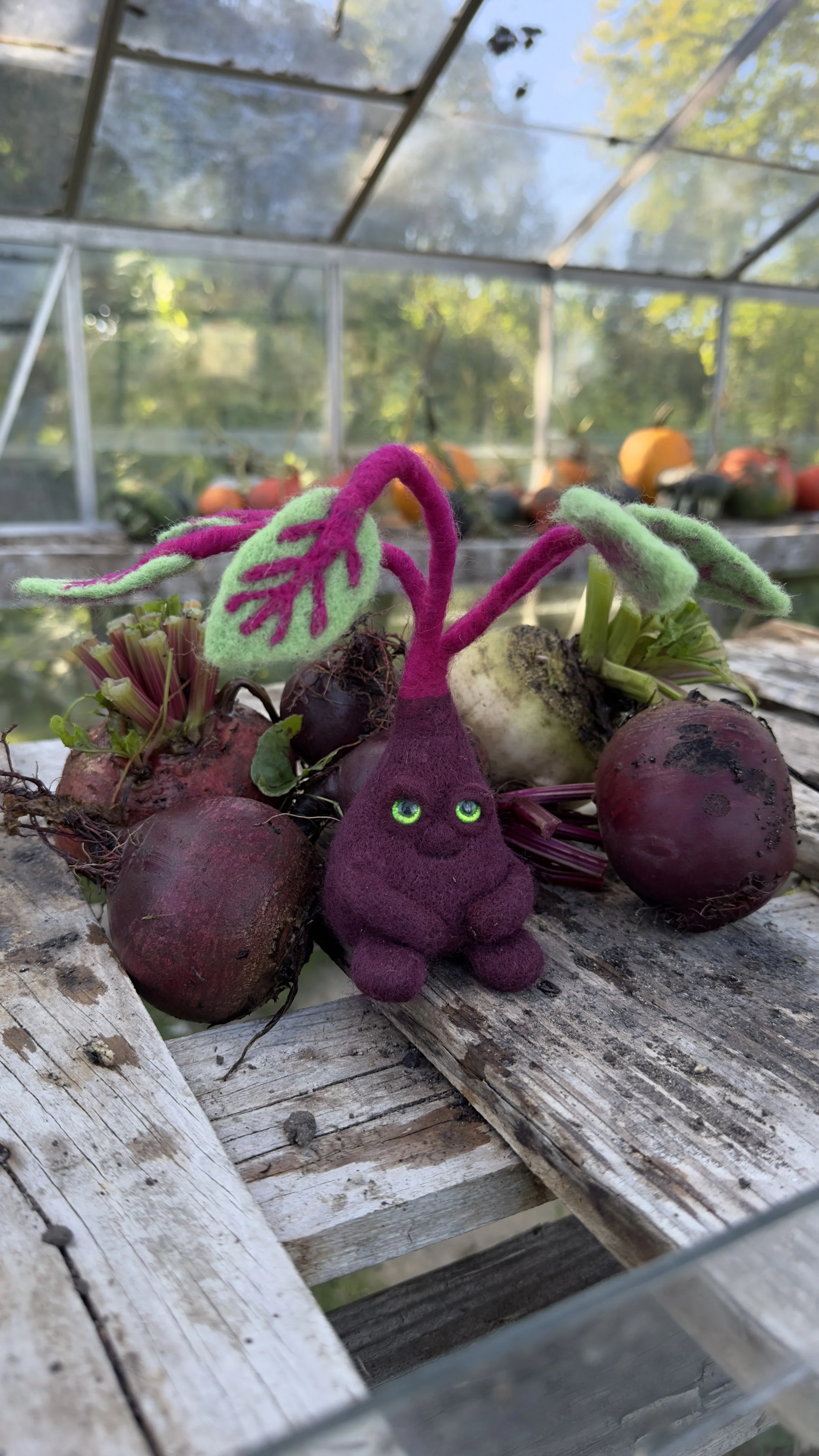 A felted doll resembling a purple, anthropomorphic root vegetable with green eyes and leafy arms, sitting among real beets on a wooden surface inside a greenhouse.