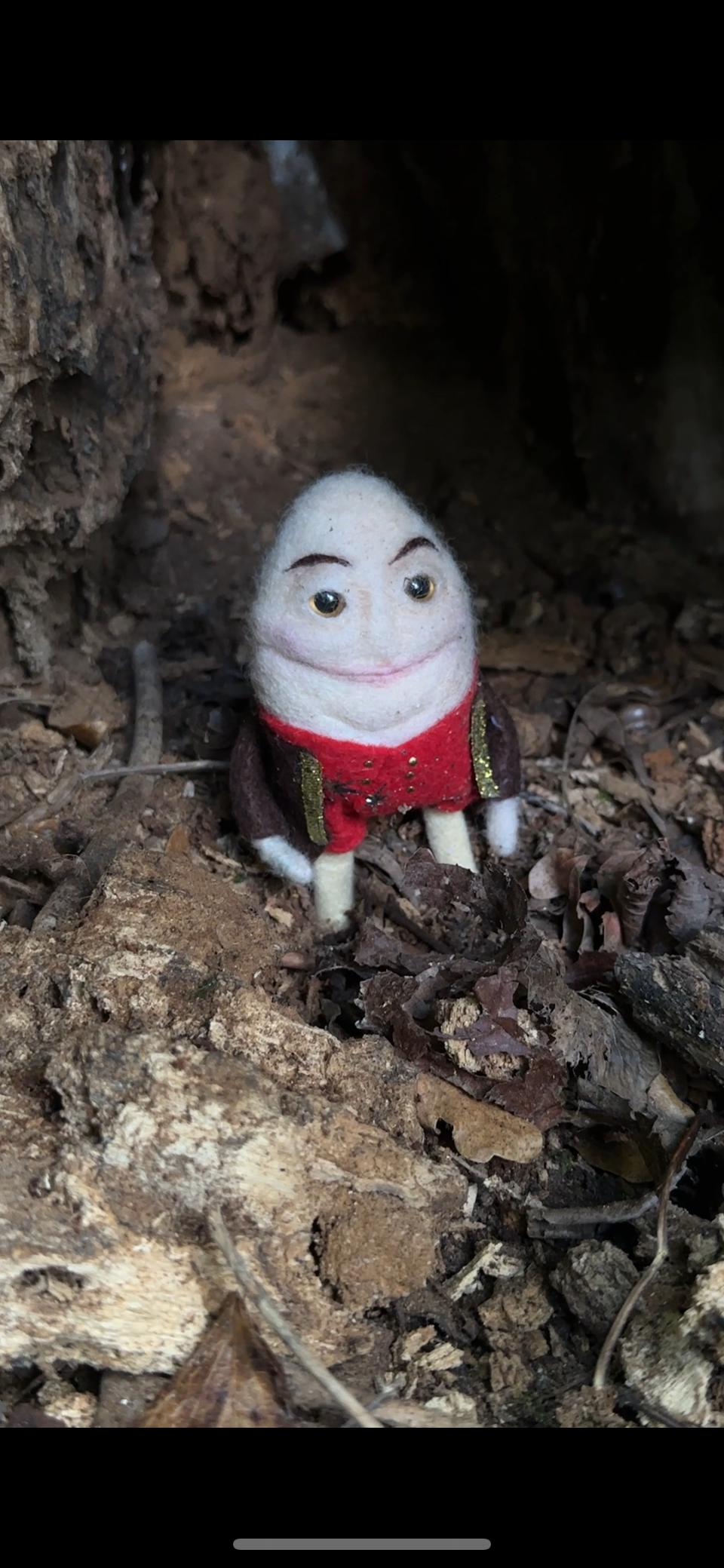A small, crafted figurine of a person with a smiling face, dressed in a red and velvet jacket, situated among dirt and leaves in a natural outdoor setting.