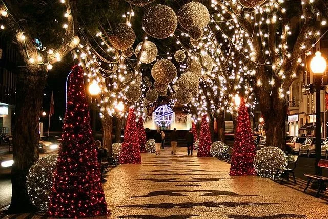  Christmas Lights &amp; Festive Season 