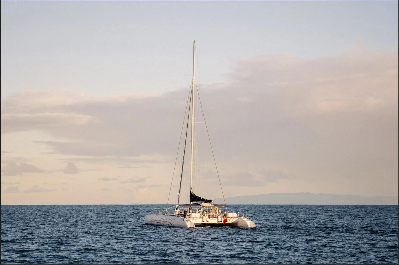 Boat Rides ! Marine life and Leisure 