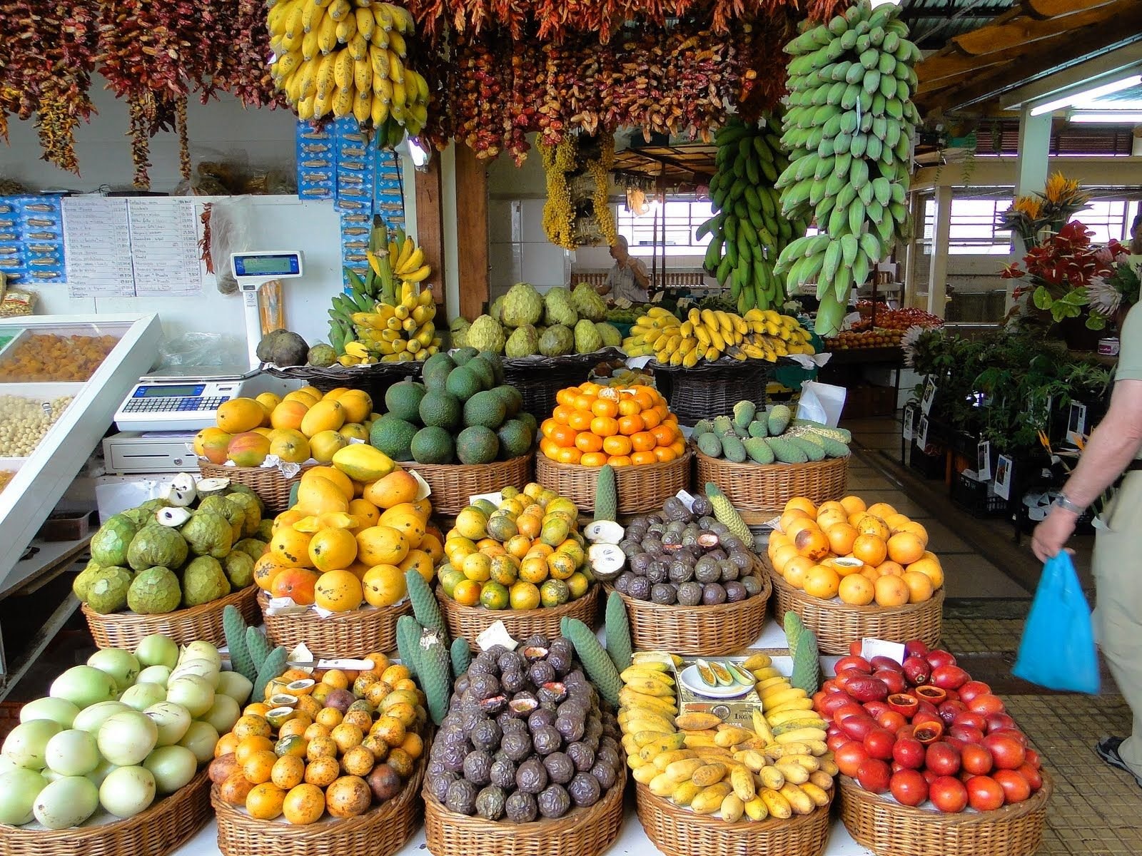 Our Natural Subtropical Goods