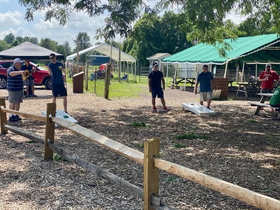 People playing cornhole outside on a sunny day, with tents and a picnic area in the background.