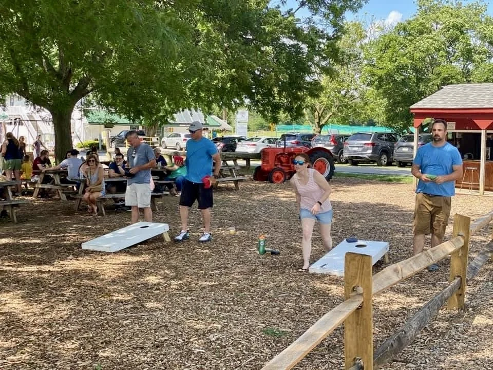 People playing cornhole outdoors in a park with picnic tables and cars in the background.