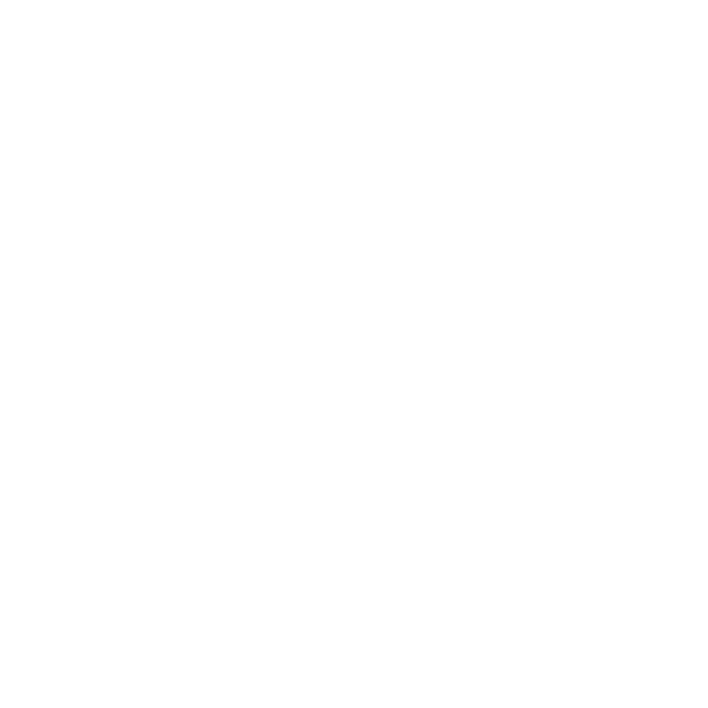 Bridge Expert Services Logo