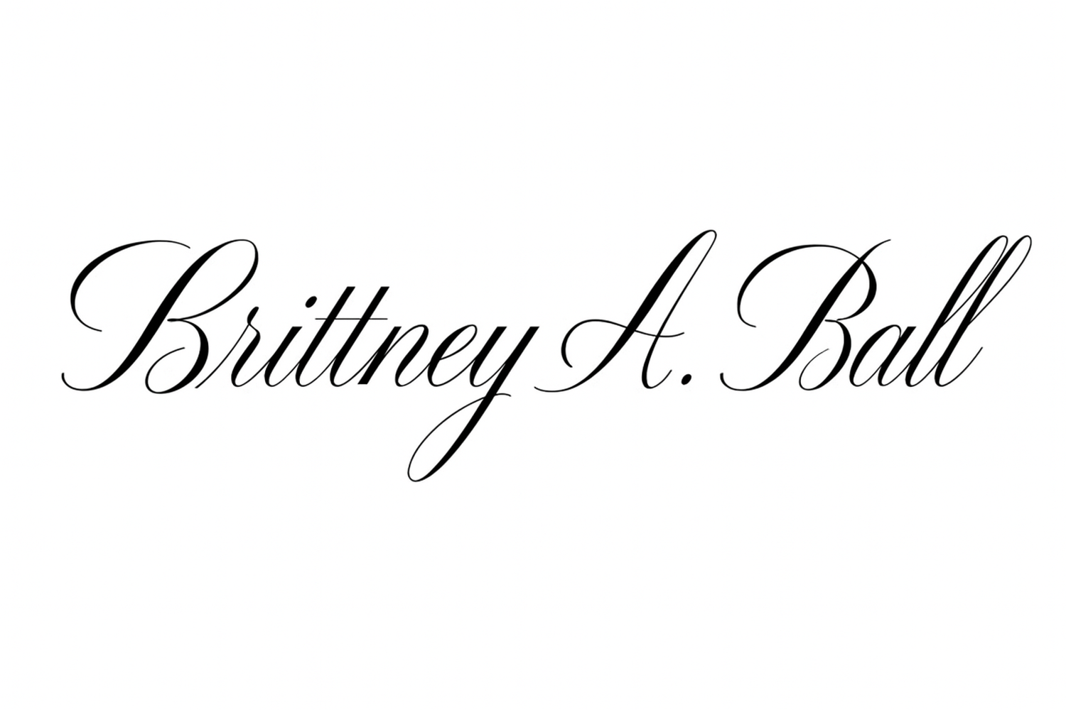 PROFESSIONAL PORTFOLIO