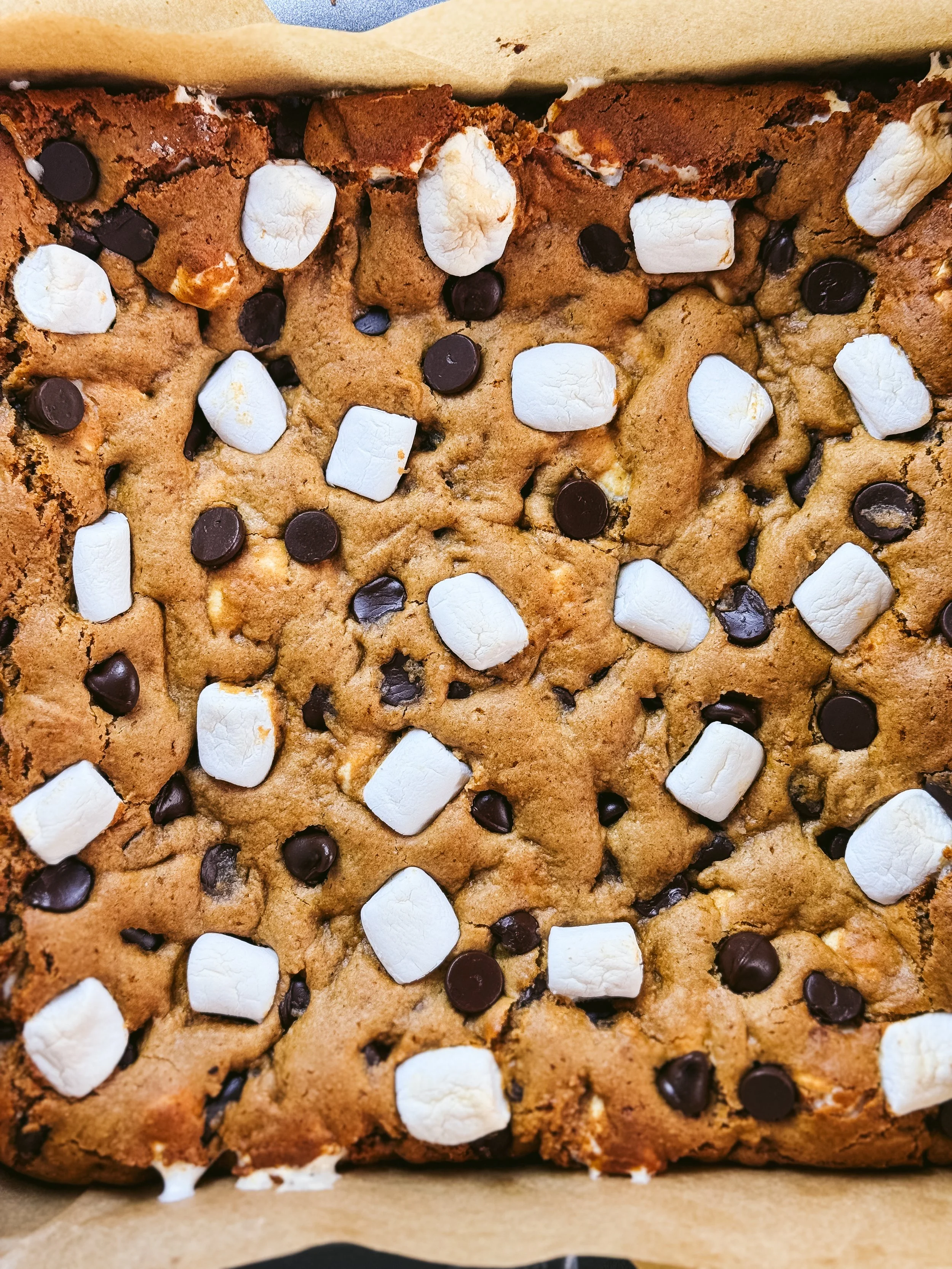 Overhead close-up of uncut peanut butter blondies topped with chocolate chips and lightly toasted marshmallows