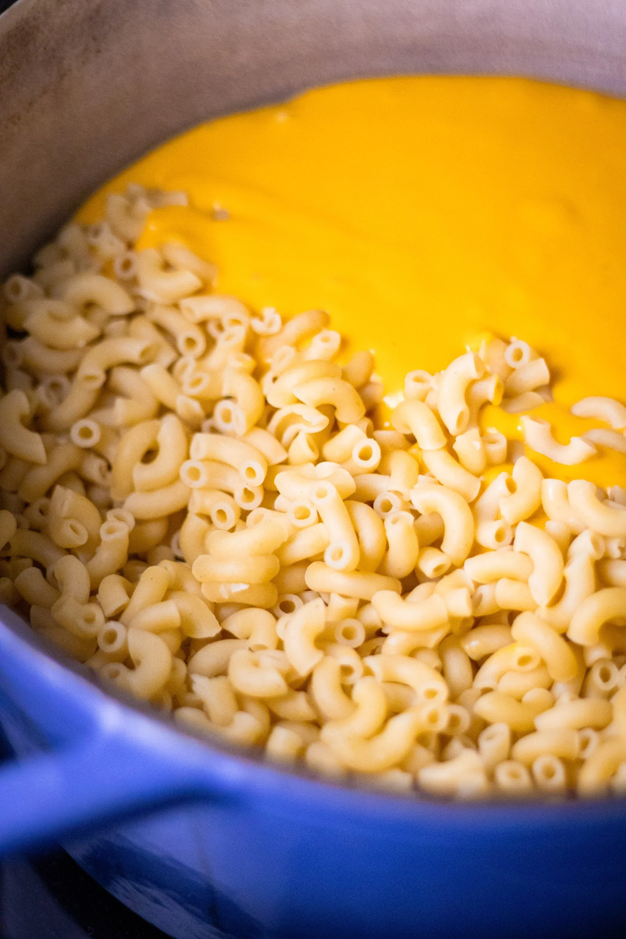 Elbow pasta with blended butternut squash cheese sauce before stirring.