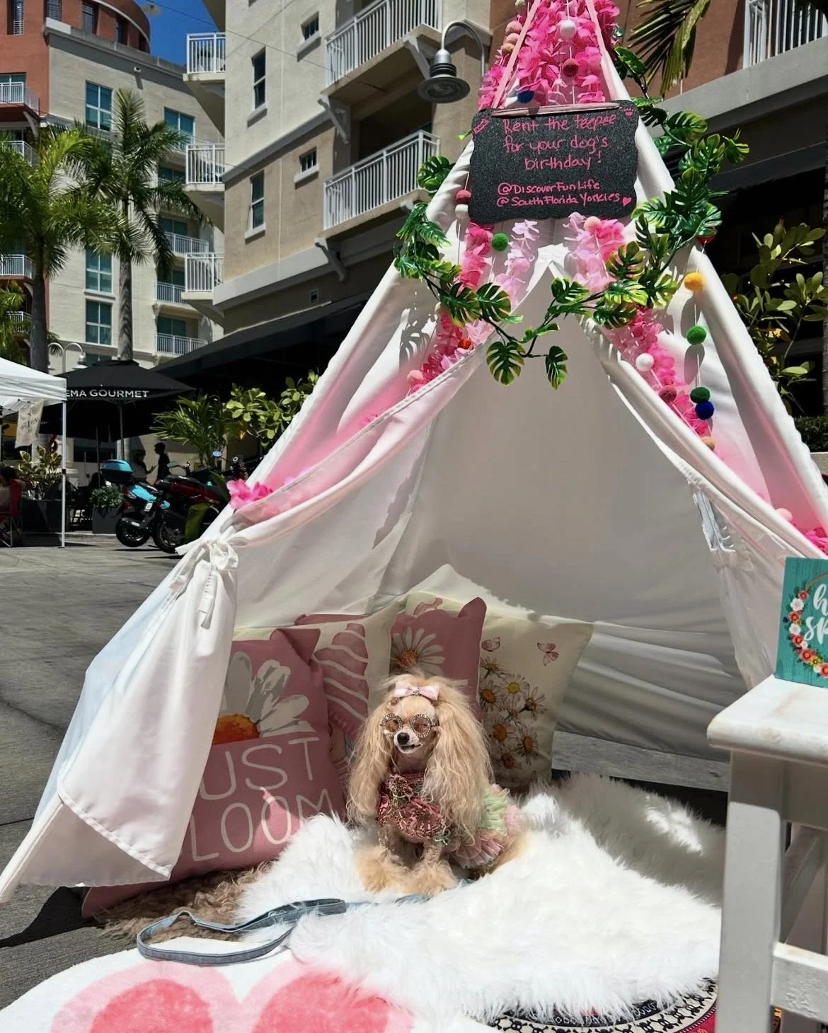 The Pink Social