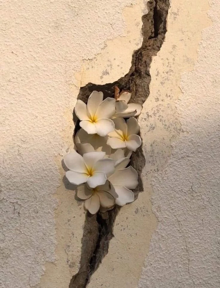 The Coaching Mindset - How We Learn to Back Ourselves