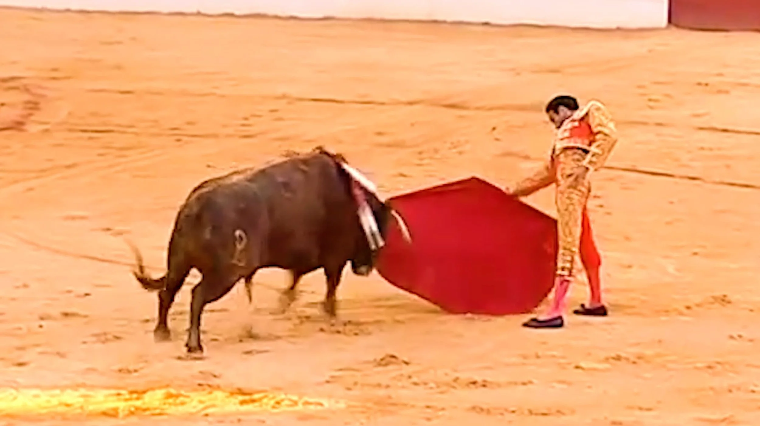 Captura de pantalla 2025-10-26 a las 12.08.27.jpg