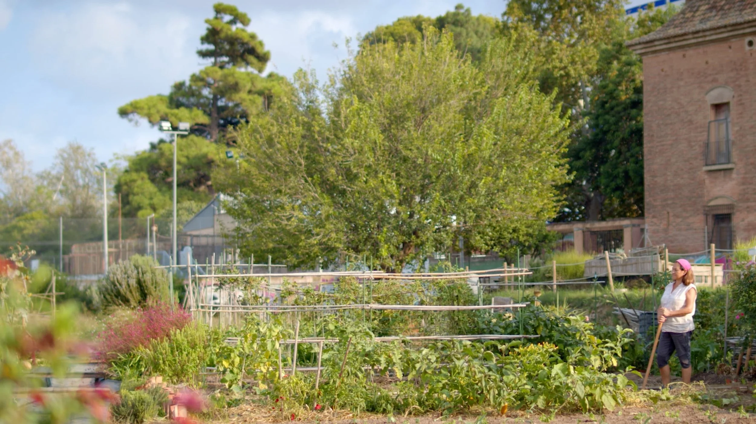 Captura de pantalla 2024-11-15 a las 12.07.55.jpg