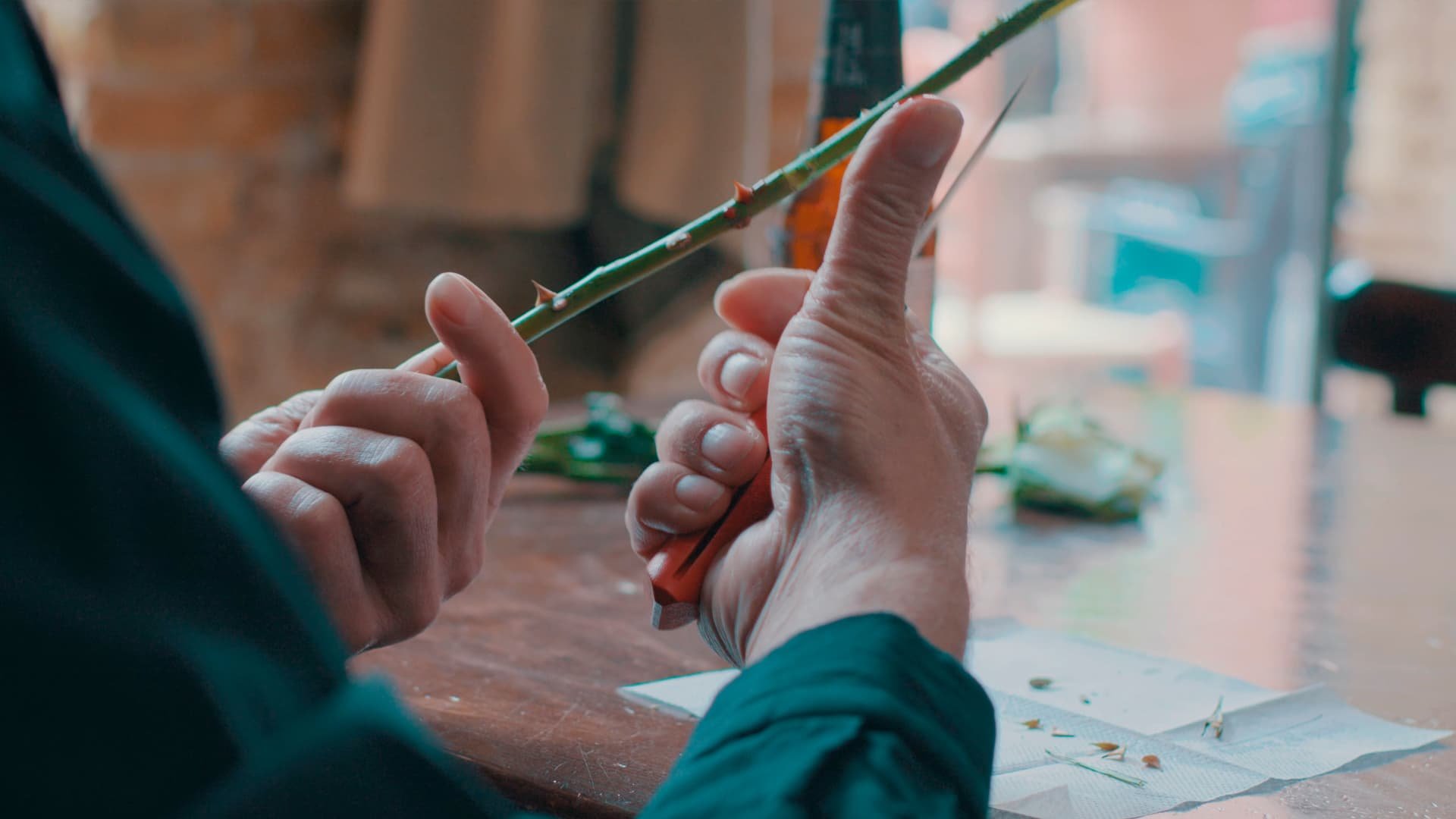 STILL 4 MILONGA DE ESPINO.jpg