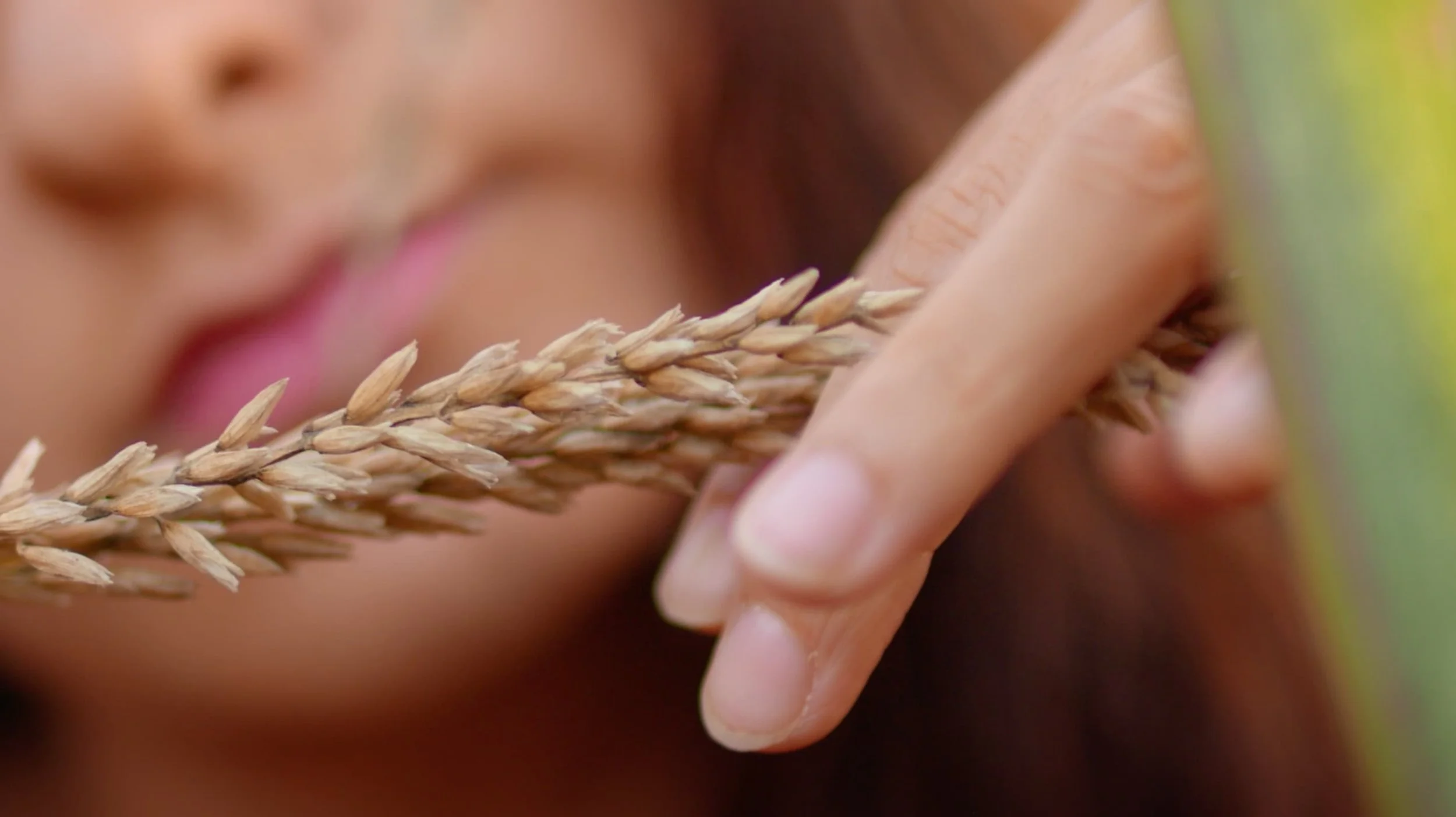 Captura de pantalla 2024-11-15 a las 12.06.14.jpg