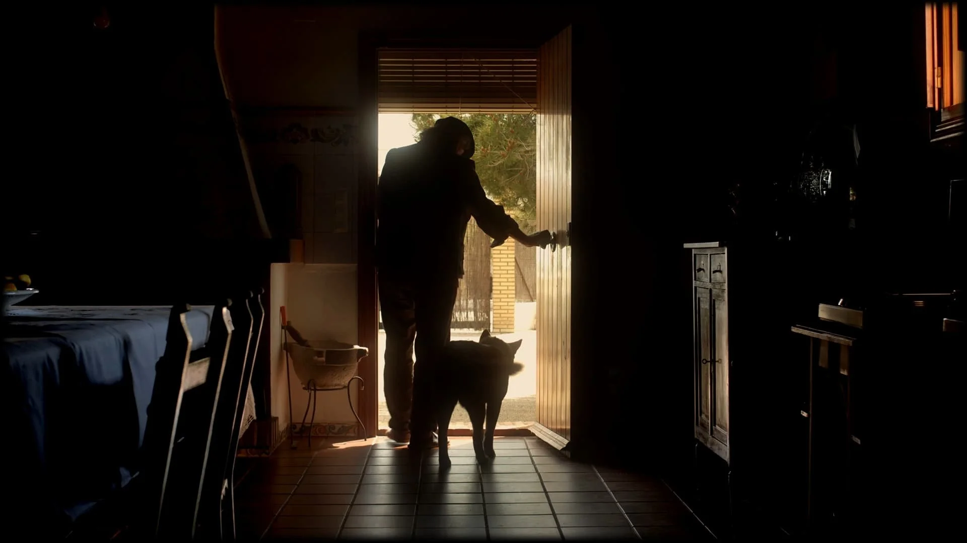 Cortometraje "DESAPEGO" -  Director de fotografía