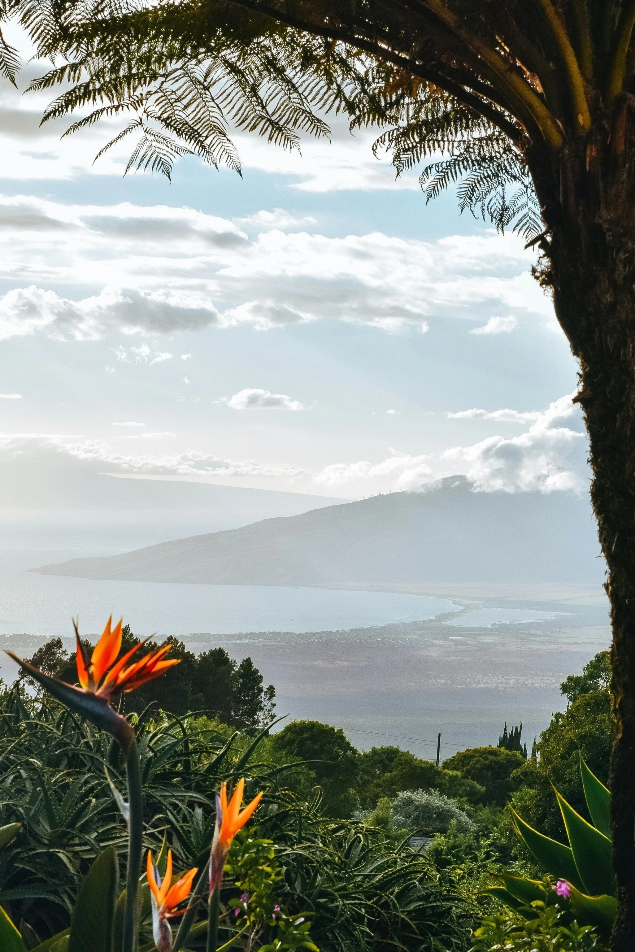 upcountry Maui landscape overlooking the coastline