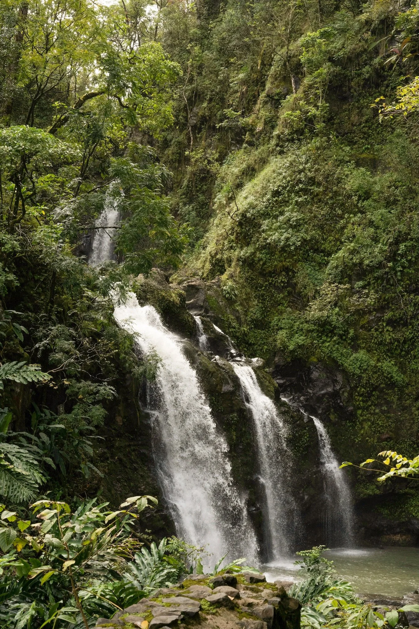 tropical waterfall on the Road to Hana in Maui, surrounded by lush green rainforest
