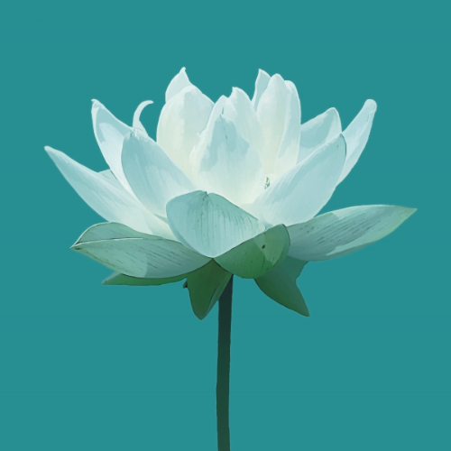 Lotus Flower