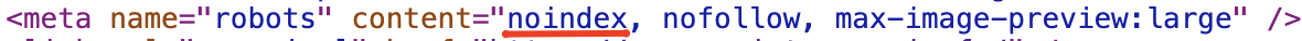 balise robots avec instruction noindex bloquant l'indexation par les moteurs de recherche