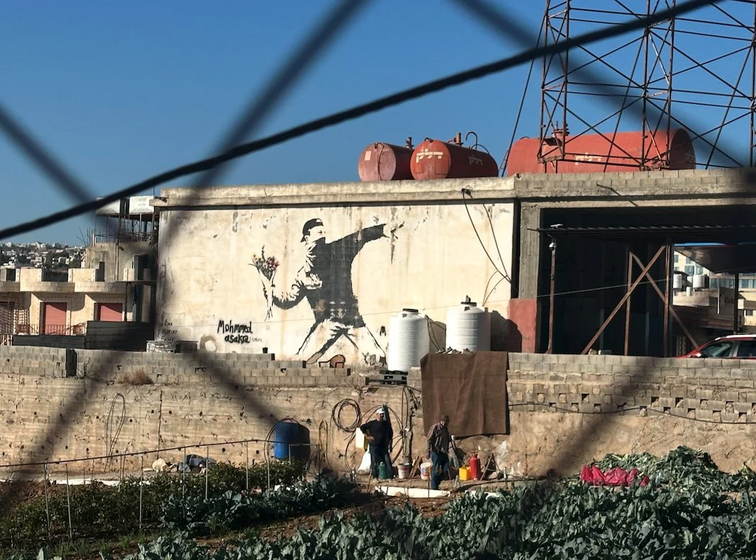 looking through fence in palestine at wall mural possibly by banksy