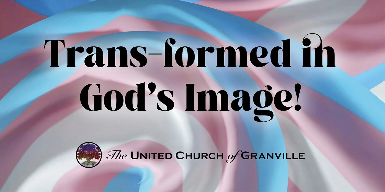 Trans-Formed in God's Image banner 