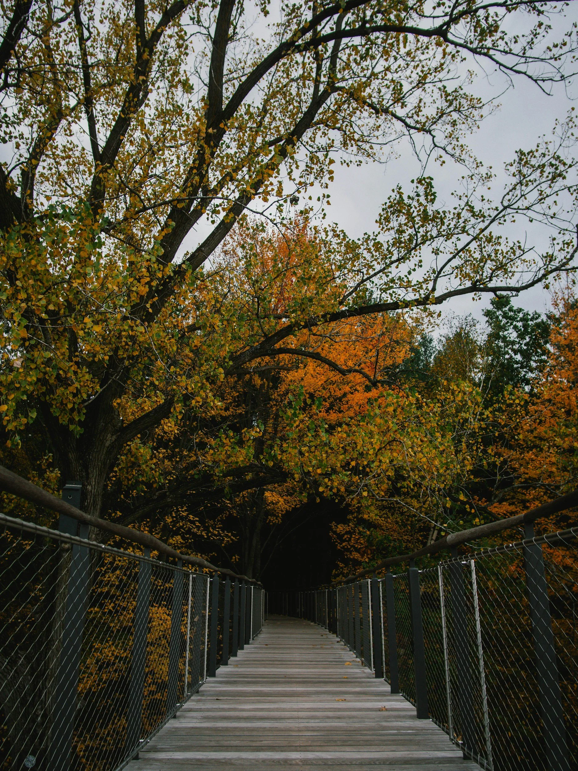 Hidden Gems in Mid-Michigan You’ll Want to Explore