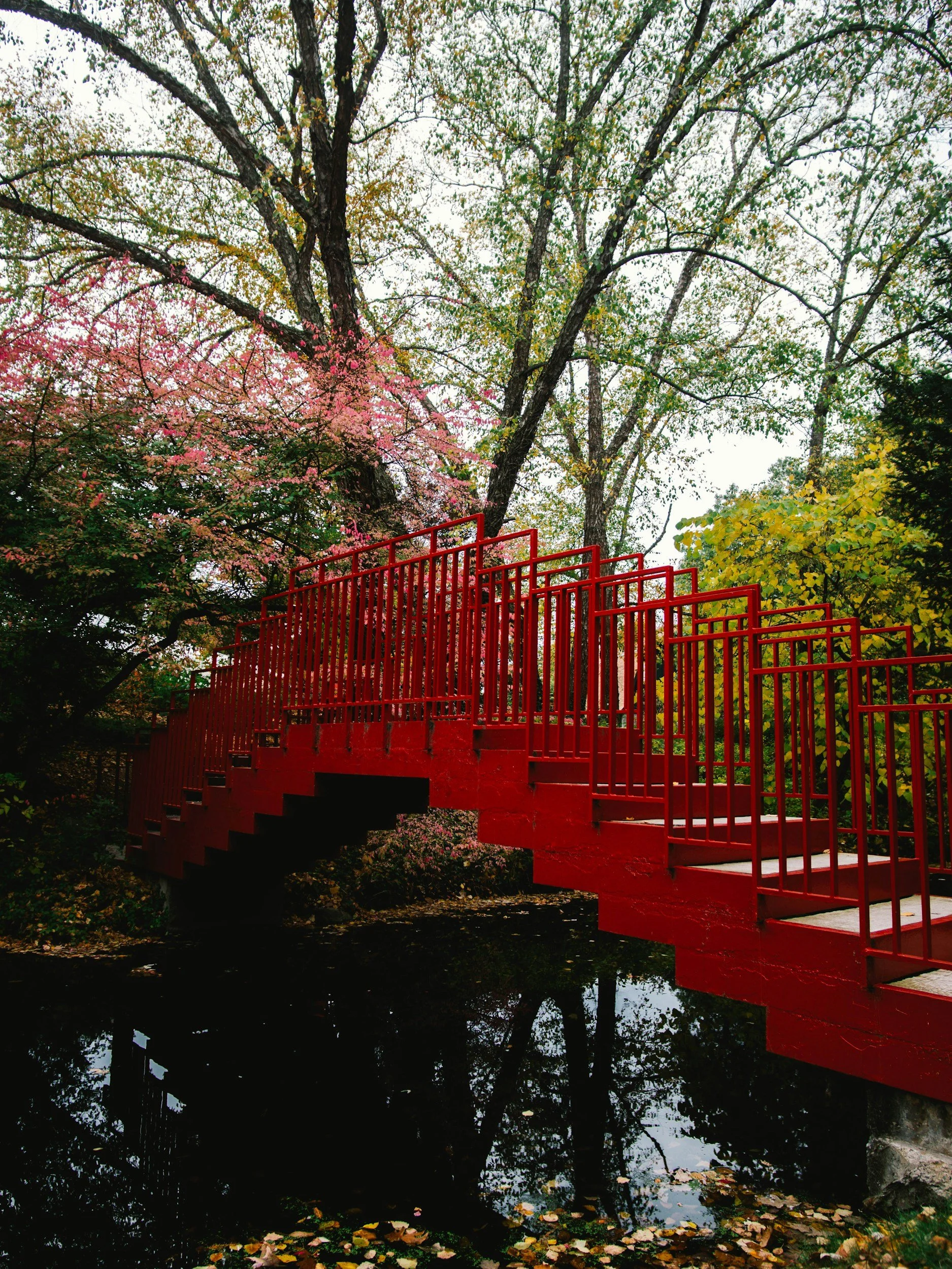 Why Midland Is One of Michigan’s Best Kept Secrets