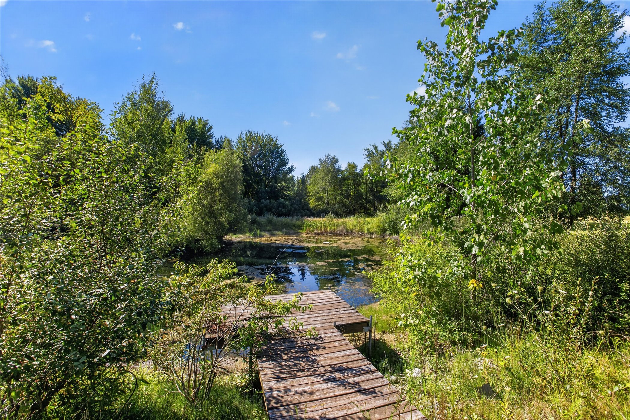 56-11256-E-Millbrook-Rd-WindowStill.jpg