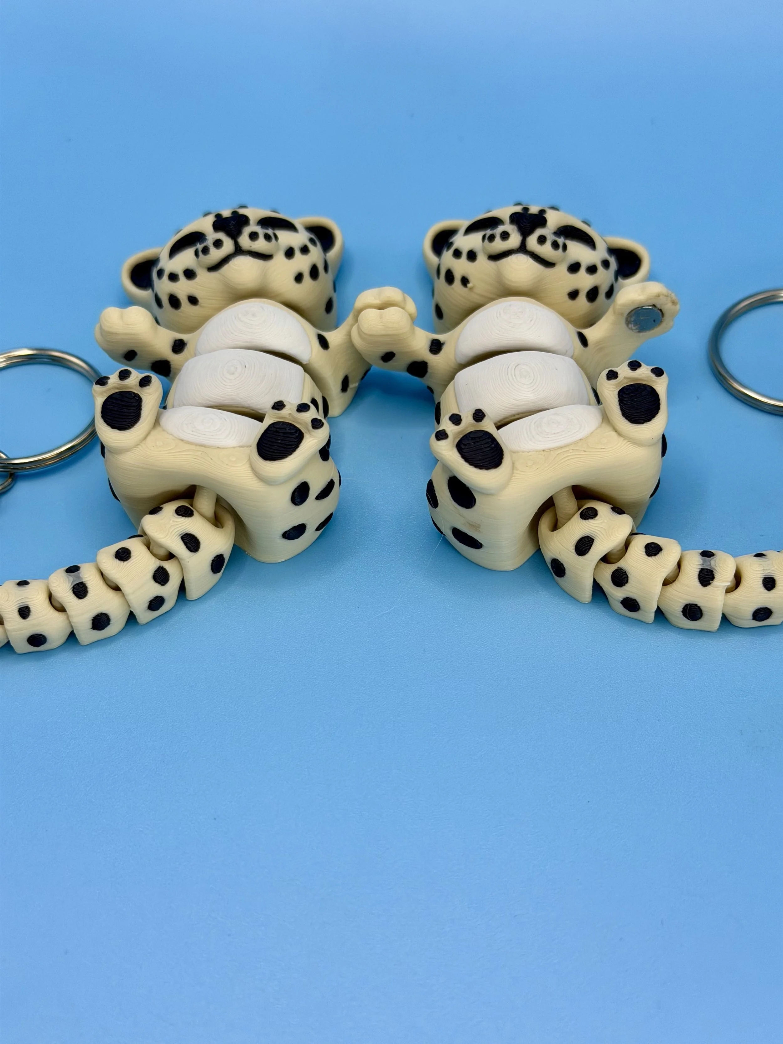 IMG_5397 - Copy.JPEG