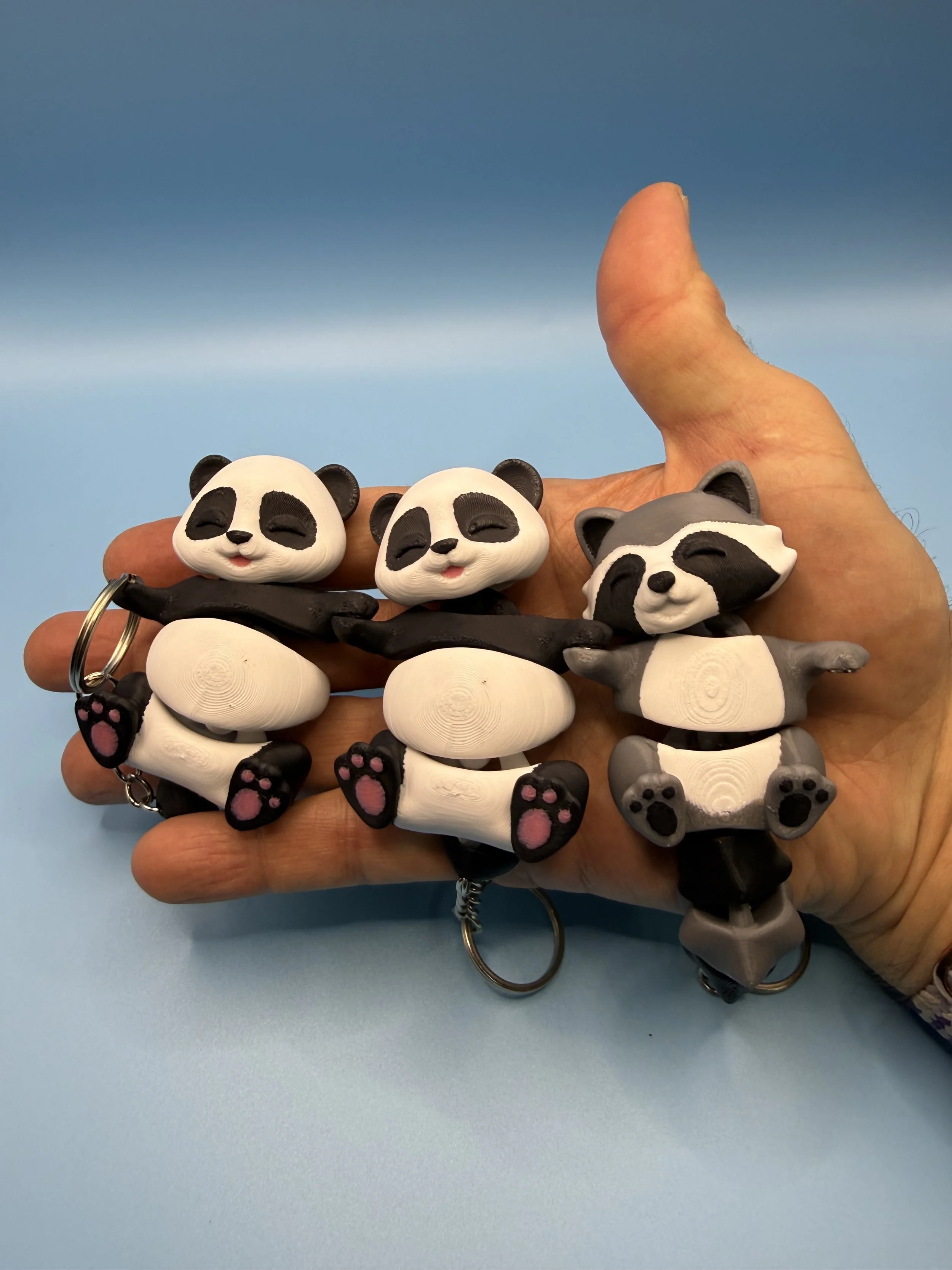 IMG_4409.jpeg (Copy)