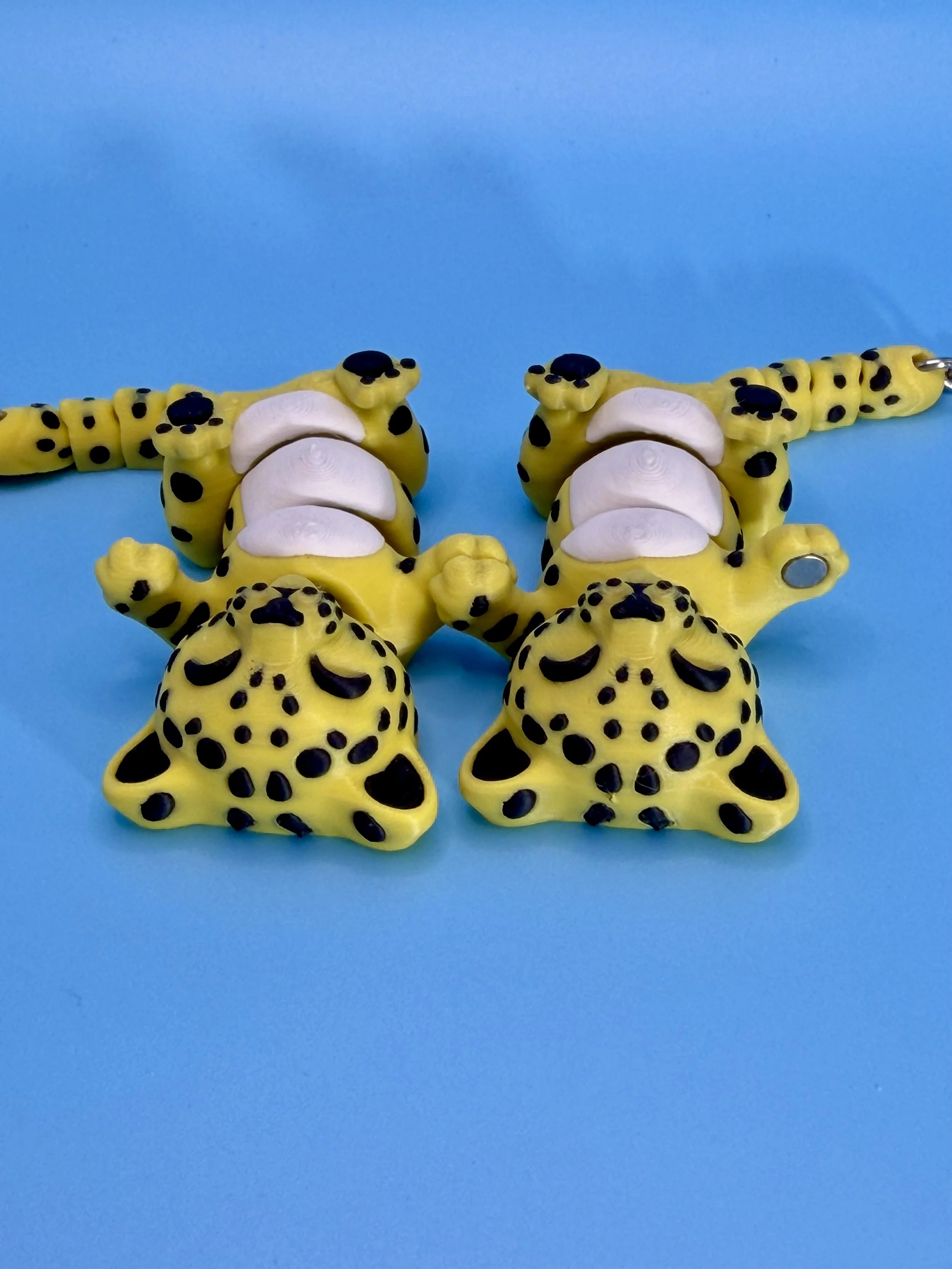 IMG_5412 - Copy.JPEG