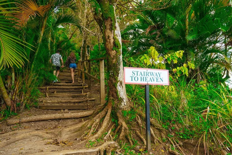 Two people walking up wooden stairs into lush, green jungle, with a sign that reads "Stairway to Heaven" beside a tree.